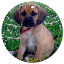 Cafepress ornament