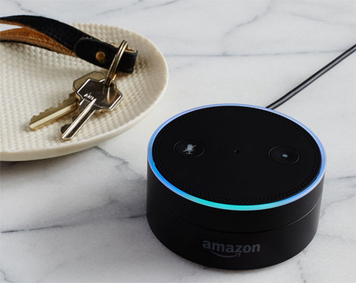 Amazon Echo Dot