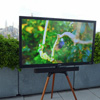 The Element Roku TV Makes Outdoor Viewing Affordable