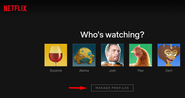 Netflix profile selection