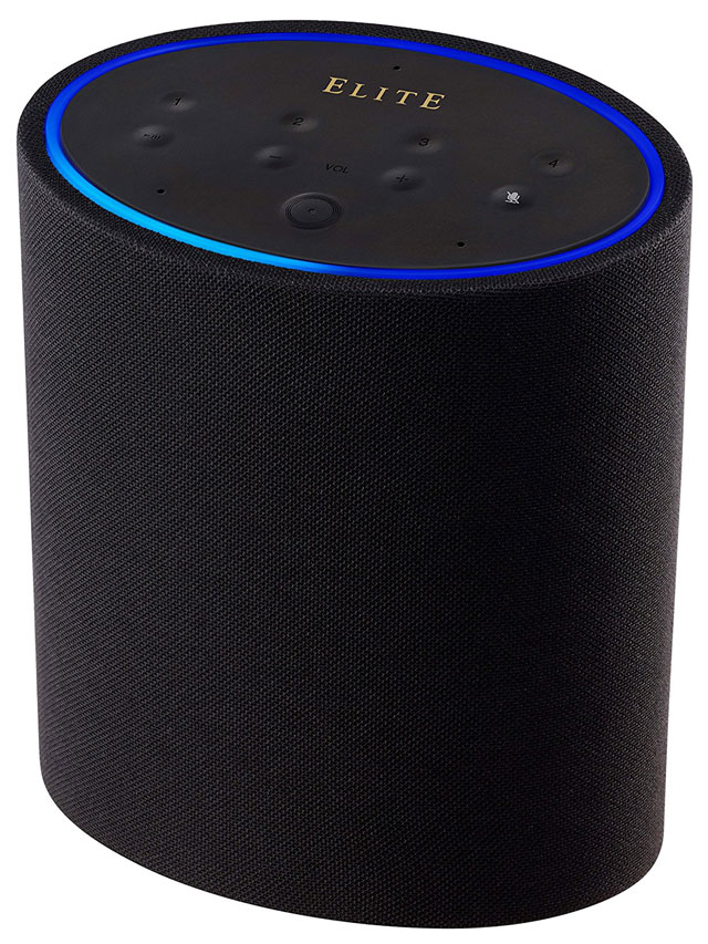 wireless speakers that work with alexa