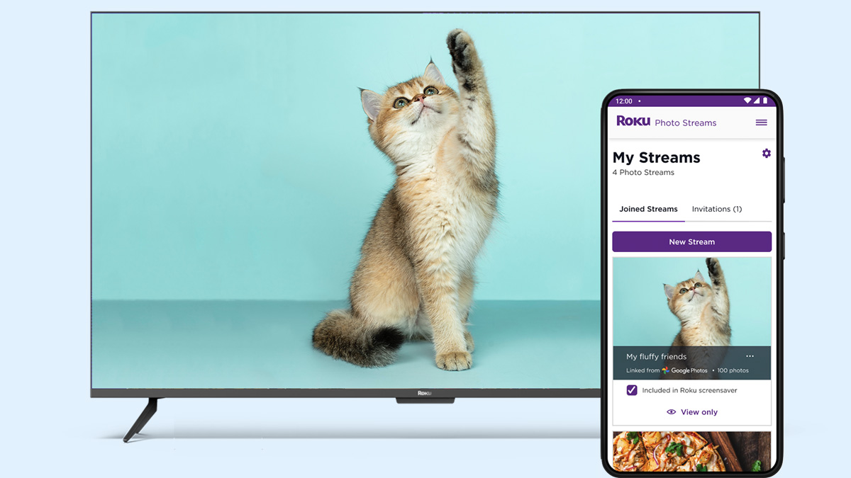Turn Your TV into a Giant Picture Frame with Your Roku Player Techlicious
