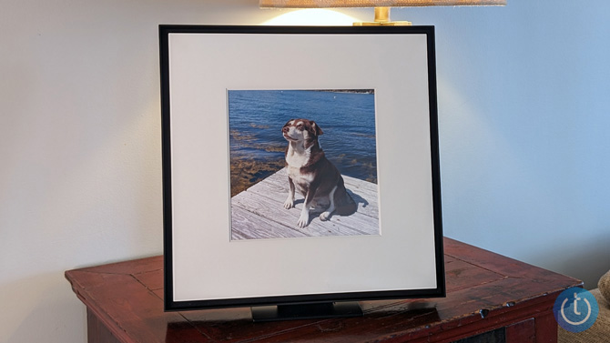 Samsung Frame on table showing custom picture of a dog