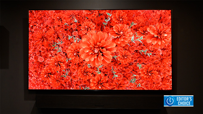 The Samsung S90H OLED TV shows a multitude of red flowers on screen.