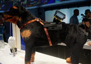 Sony Action Cam pet mount prototype