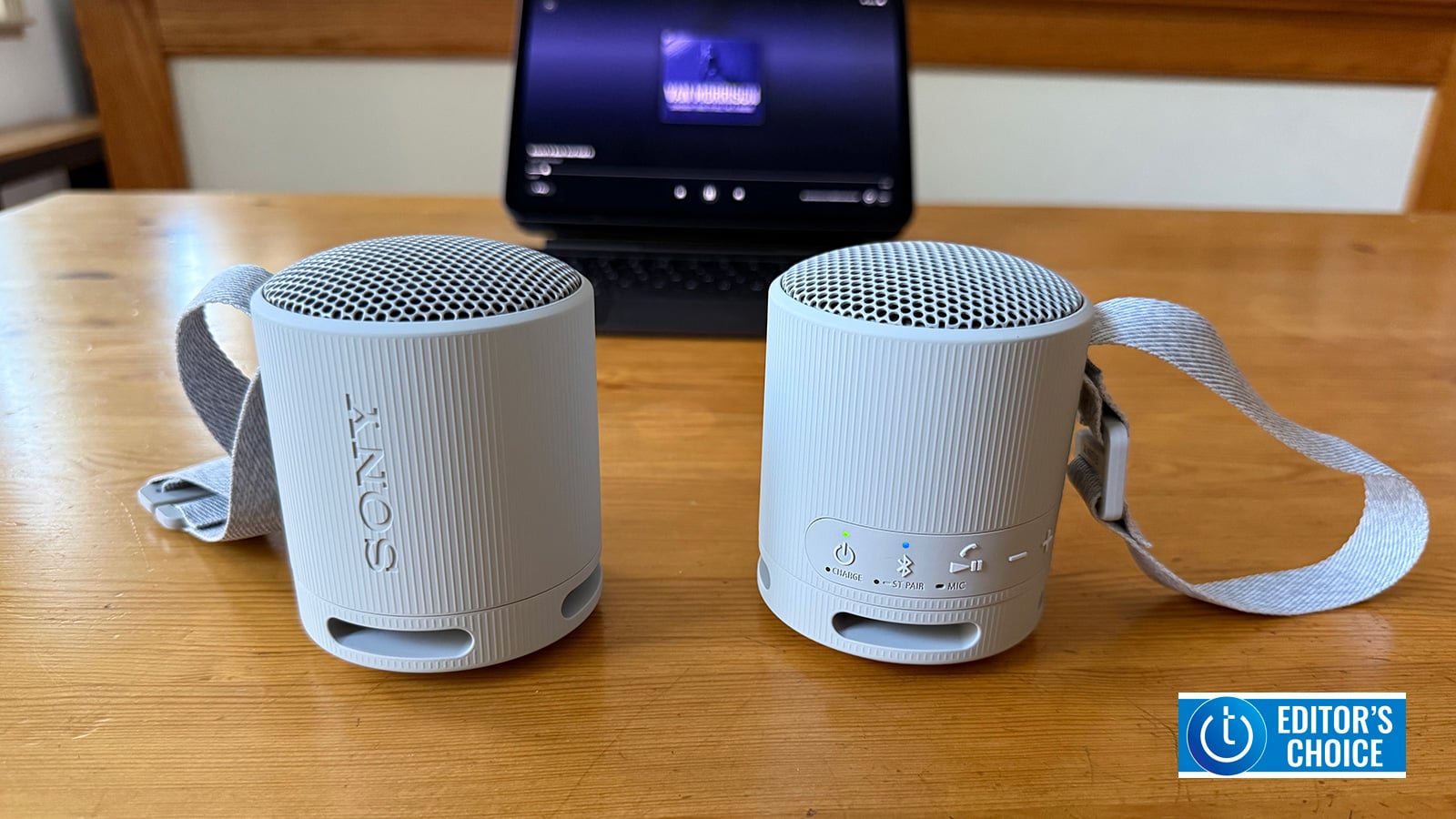 Sony SRS-XB100