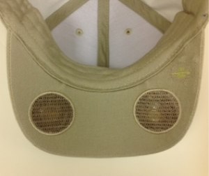 Speaker Hat