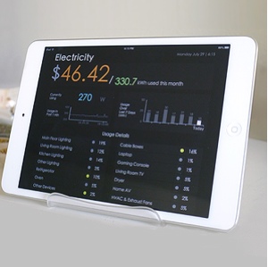 Belkin Echo Electricity