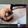 Take Advantage of Your TV's Big Screen to View Your Photos