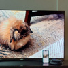 Take Advantage of Your TV's Big Screen to View Your Photos