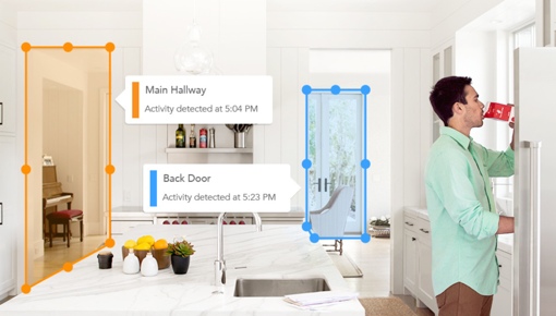 Dropcam custom activity zones