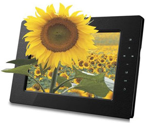 DXG 3D frame