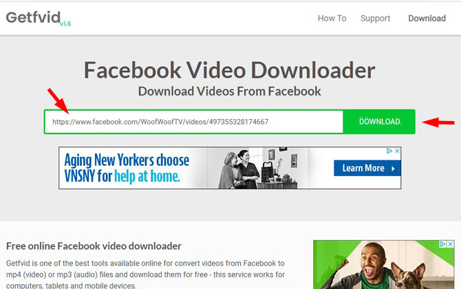 screenshot of Getfvid website showing the green box where you paste the Facebook video URL and the Download button.