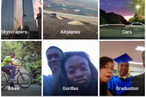 Google Photos 'gorillas' tag