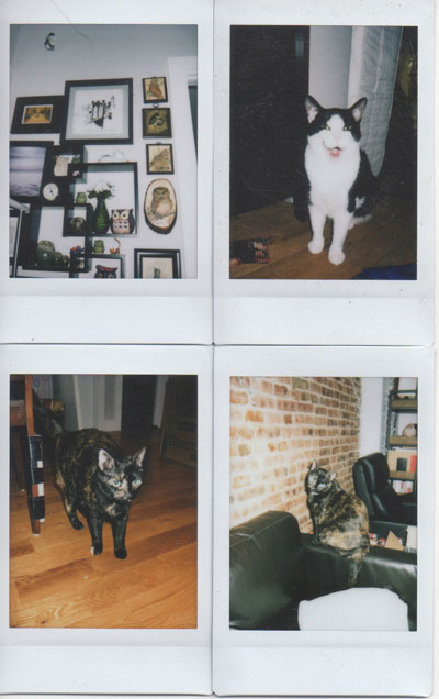 Instax Mini 70 Instant Camera Indoor Test