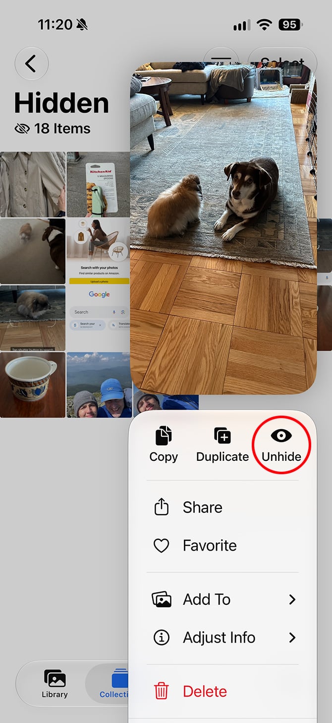 Photo of two dogs in the iPhone Photos app’s Hidden album, with the Unhide menu option circled in red.