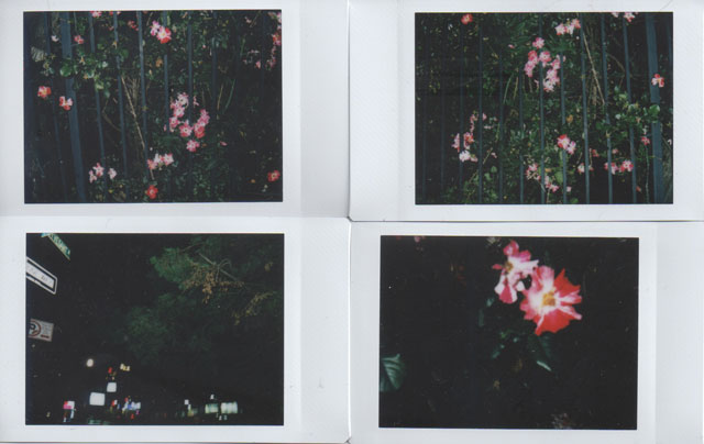 Instax Mini 70 Instant Camera Low Light Test