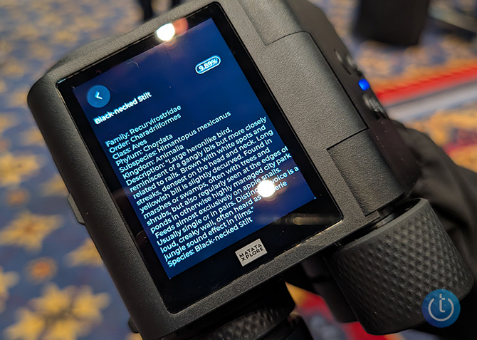 On the back of the Matatalabs Solvia binoculars you can see a detailed description of the black necked Stilt