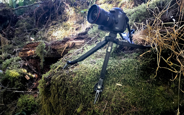 Best Tripod for Hiking and Backpacking: Pakpod