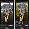 Adobe Brings Photoshop to Android Phones with Generative AI Tools
