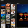 Choosing the Best Photo Sharing Site
