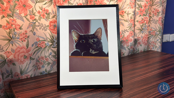 Photo of the author's cat displayed on the Switchbot Art Frame