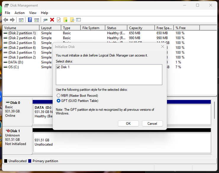 Screenshot of Disk Management software showing the options for partitions styles: MBR and GPT, which GPT selected.
