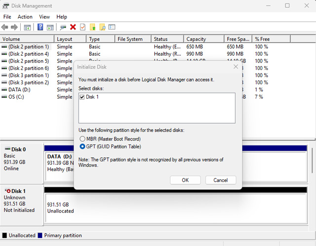 Screenshot of Disk Management software showing the options for partitions styles: MBR and GPT, which GPT selected.