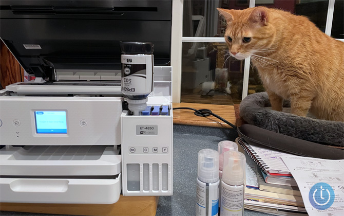 Epson EcoTank ET4850 printer with the top open and a blank ink bottle refilling the black ink tank. To the right is a cat sitting on a stack of notebooks. In front of the cat are three more ink bottles.