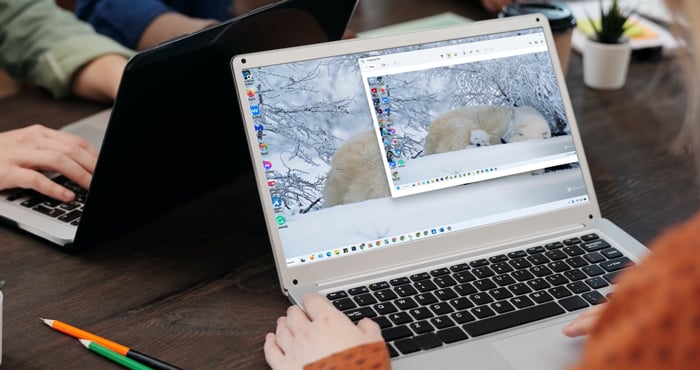 How to Capture Screenshots on Your Phone and Computer - Techlicious