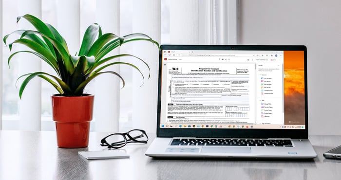 Laptop on desk with plant, glasses, and smartphone. On the computer screen you see a PDF file shown in the Adobe Acrobat Reader extension.