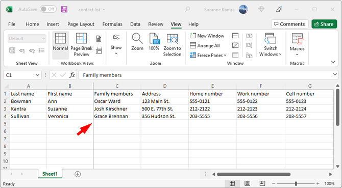 Screenshot of Microsoft Excel showing the gray line to the right of the second column pointed out.