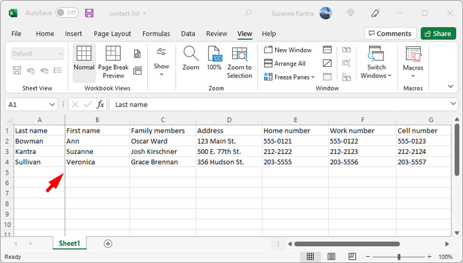 Screenshot of Microsoft Excel showing the gray line to the right of the first column pointed out.