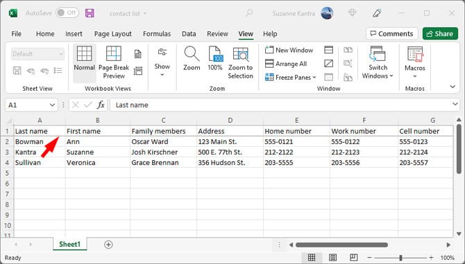 Screenshot of Microsoft Excel showing the gray line below the first row pointed out.