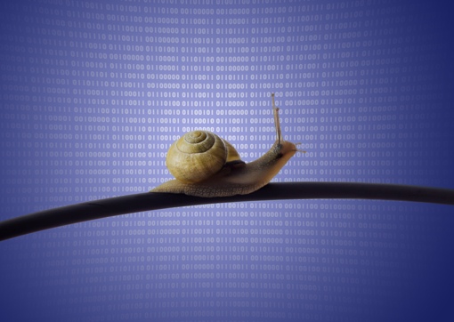 Snail on data background