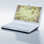Sony VAIO CW