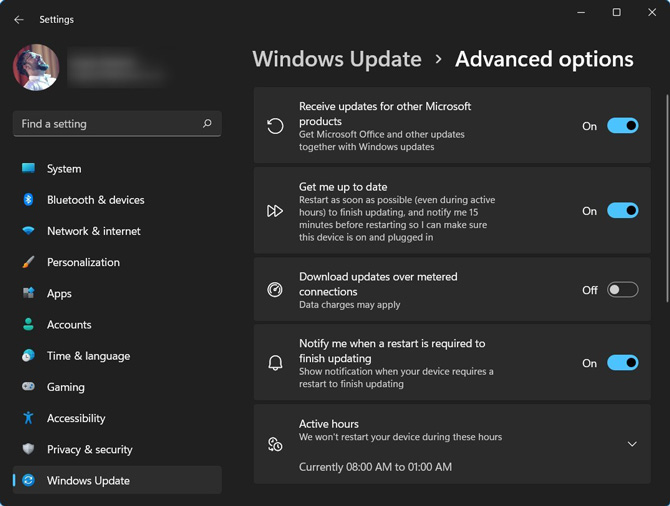 Screenshot of Windows Update Advanced options window with 