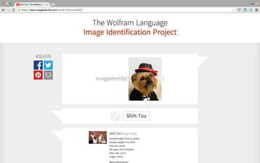 Wolfram Alpha Image Identification Project screenshot