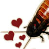Send Your Valentine a Cockroach and Support a Good Cause