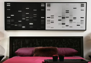 DNA 11 DNA Portrait