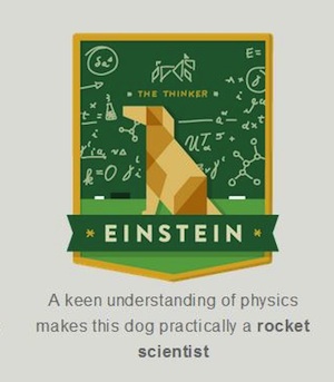Dognition