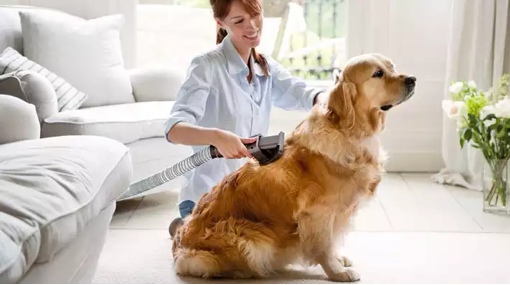 Dyson Groom pet attachment