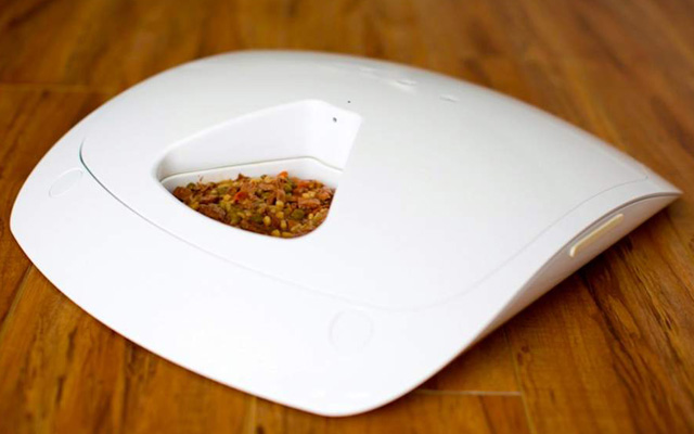 Best for wet food: Feed and Go smart pet feeder