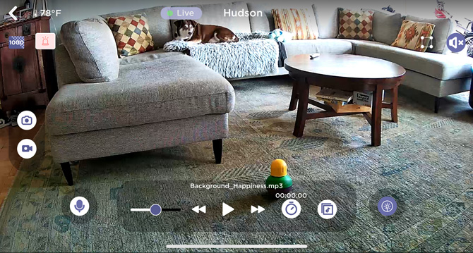 Screenshot of live view of HubbleClub camera