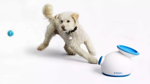 iFetch ball launching toy