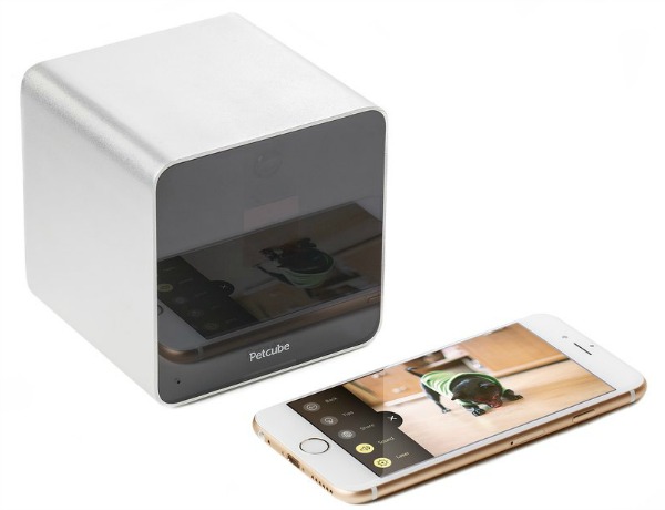 Petcube