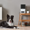 The Best Smart Pet Feeders