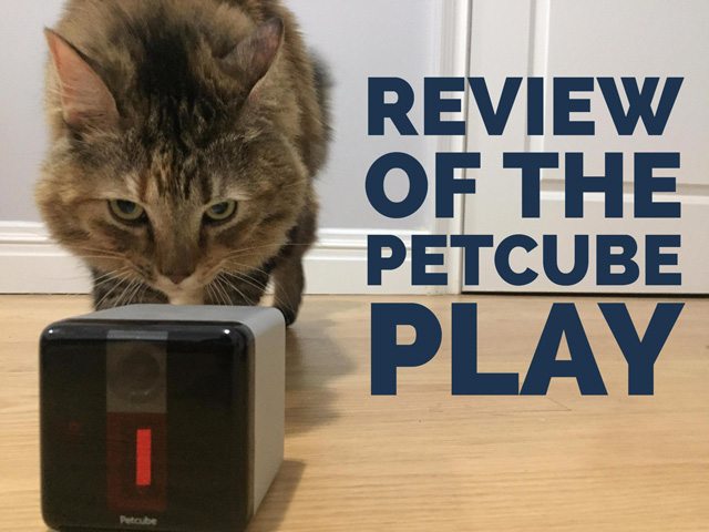 Petcube Play Monitor Review: Fun for Pets and Owners - Techlicious