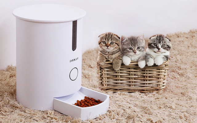 Best for cats: Petdiary Automatic Cat Feeder