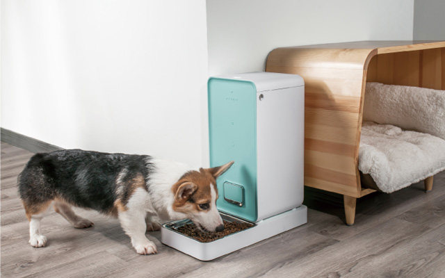 Best design: PETKIT Fresh Element smart pet feeder